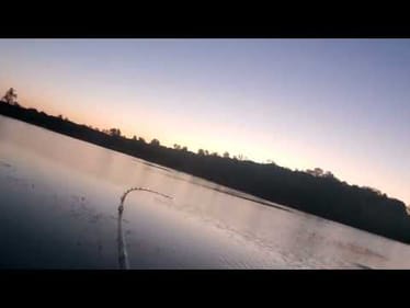 Whoa, this is why you dont set the hook on top water baits.
