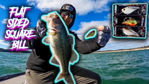 FLAT SIDED SQUARE BILL WINTER FISHING TECHNIQUES THAT WORK! 6th Sense "Jaint Juice" Crush Flat 75x