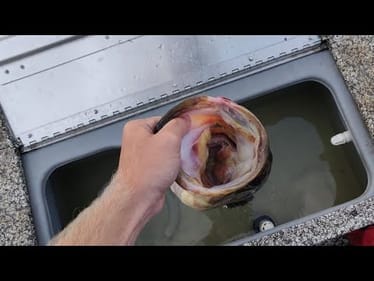 Caught My PB Bass!