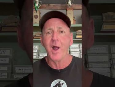 Are You Brainwashed By Livescope?