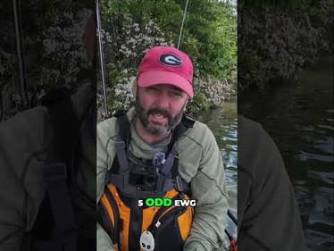 Unlock Bass Fishing Secrets: Master the Fluke for Explosive Strikes!