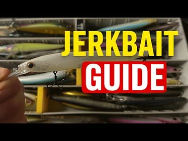 Year-Round Jerkbait Guide: The Complete Breakdown (How To!) | Bass Fishing