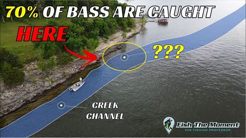 Avoid This Common Swimbait Fishing Mistake