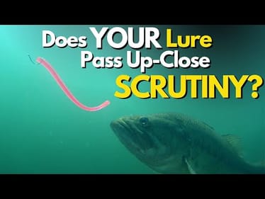 When Bass LOOK but Don’t Bite? (Doug Hannon Explains)