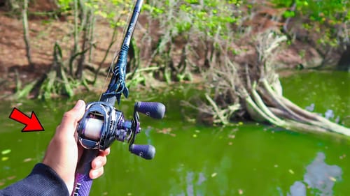 Searching for GIANT Bass in HIDDEN Creeks (River Fishing)
