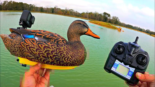 Spying on Pond Wildlife with RC Duck Decoys!