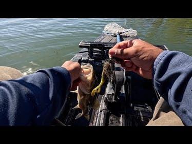 50 FISH DAY-FALL BASS FISHING PORT OF SACRAMENTO RIVER DEEP WATER CHANNEL