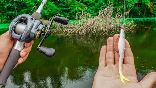I Can't Believe This Fishing Trick ACTUALLY Worked!! Fishing Shallow Grass For Schooling Fish