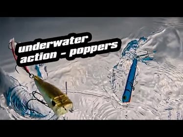 Pool Series | Underwater | Poppers