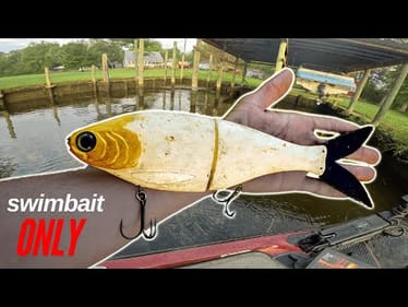 SWIMBAIT ONLY FISHING TOURNAMENT! Swimbait Universe Gathering Event Chickahominy River