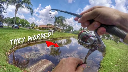 NEVER Before Seen Bait Catches MONSTER BASS!
