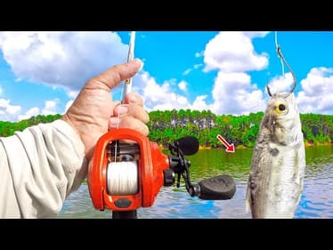 Easy Way To Fish For Catfish! Simple Rig Catches BIG Fish!