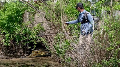 Fishing for a Monster in Secret Tunnel