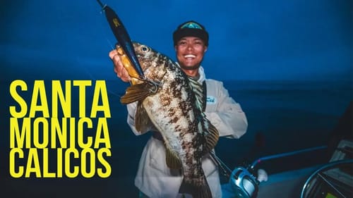 Calico Bass Fishing in Santa Monica Bay