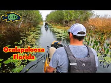 An Adventure in a Kayak Tournament