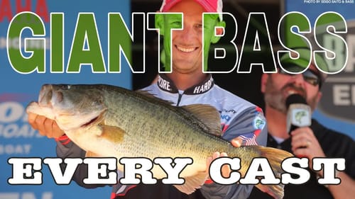 Fish FRENZY!!! THOUSAND of Bass Schooling! Catch Fish Every Cast!!!