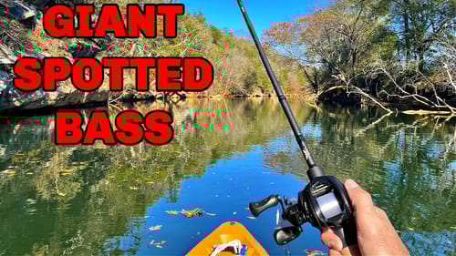 These River Bass get BIG in Tennessee
