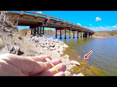 One Of The Easiest Ways To Catch Crappie From The Bank!