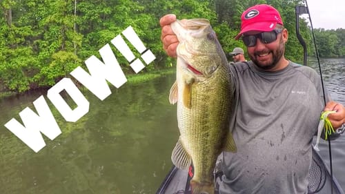 WOW! Fishing in Illinois -ft. TackleJunky81 and Phantom Fishing