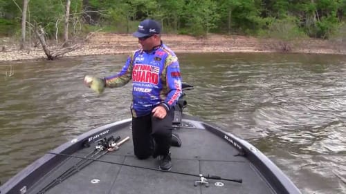 Which Rod for Vibrating Jigs