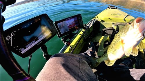We Found The Mega School(Tournament Practice-Lake Berryessa)