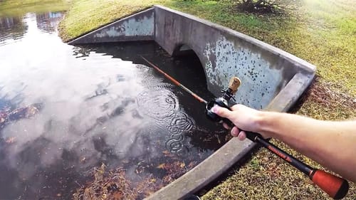 Fishing a FLOODED RETENTION POND for BIG BITES!!