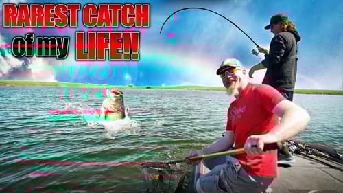 It took over 30 YEARS to Catch a Fish THIS Rare!! (INSANE Megabag)