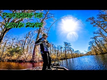 Searching CYPRESS FILLED CREEKS For TOURNAMENT WINNING BASS!!! || Chowan River / Albemarle Sound