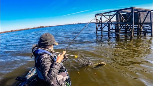 FINAL day of the Tournament of Champions (CADDO LAKE)
