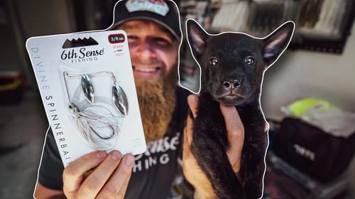 Justin Royal's Favorite Baits For Fall & Introducing A New Fishing Buddy, Blaze the Dutch Shepherd!