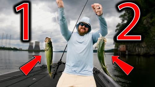 My FAVORITE Way To Catch Early Fall Bass! (Donkey Rig + Micro Baits + BFS)