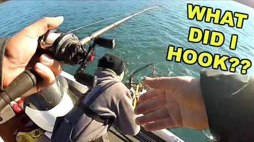 Fishing for DEEP Water Giants!!! --Wasn't Expecting This!