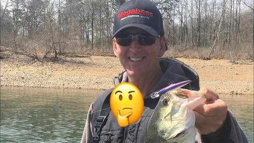 Myths Surrounding Bass Memory