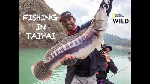 Fish My City TAIWAN Recap