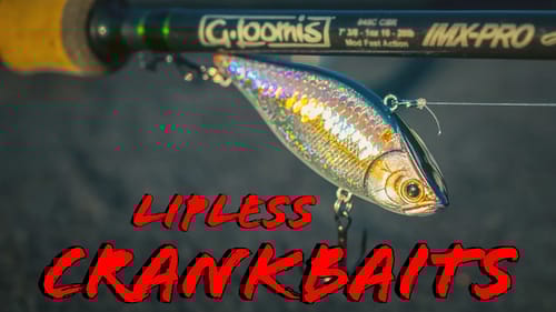 4 Lipless Crankbait Tricks For Springtime Bass Fishing