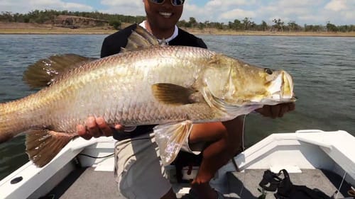 Barramundi Big Bait Bonanza - Big Barra Dreams Part 17 - The Finale