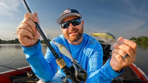 Where Do Bass Go After They Spawn? (And How To Catch Them!)
