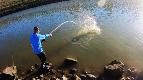 INSANE MONSTER FISH in CITY CREEK!