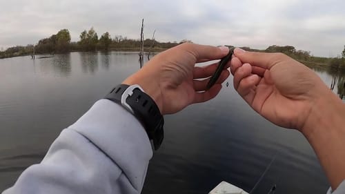 Fishing summertime patterns in the middle of November!