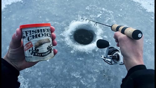 NEW Wax Worms - FUTURE of ICE FISHING!?! (HORRIBLE REVIEW)