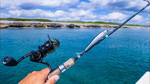 Near Shore Light Tackle Saltwater Fishing |Heaps of Fish Off the Beach