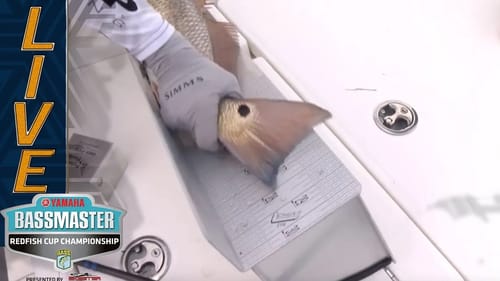 REDFISH: Palaniuk and Goodwine land a difference maker