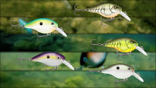 The new Rapala colors revealed! Myself and Jacob Wheeler show how to use and pick them