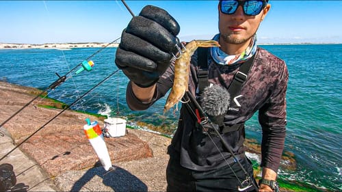 do this when multispecies fishing at the jetty (pompano, trout, flounder...)