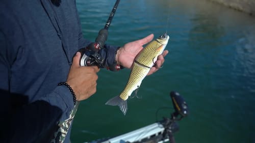 How To Fish The Gan Craft Jointed Claw 303 Glide Bait!