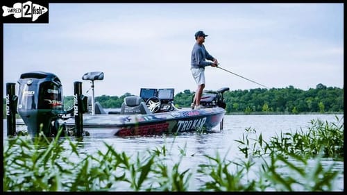 Advanced Popper Tactics for Bass in Cover