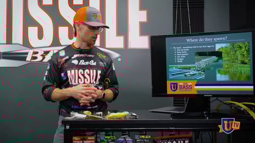 Big Bass Buffet AKA The Shad Spawn