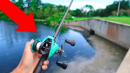 World's CHEAPEST Fishing Reel (WISH APP)
