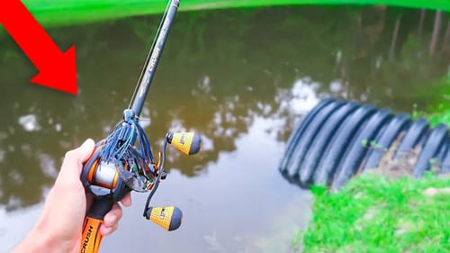 Catching ENORMOUS Bass on BIG JIGS (Bank Fishing)