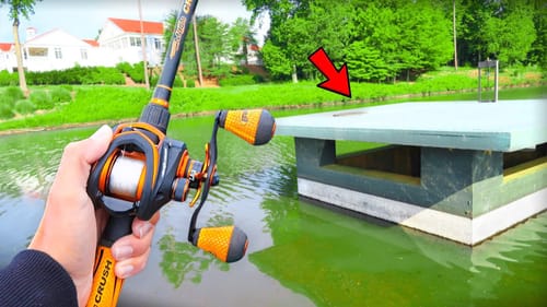 Catching GIANT Bass on BIG Baits (Bank Fishing)